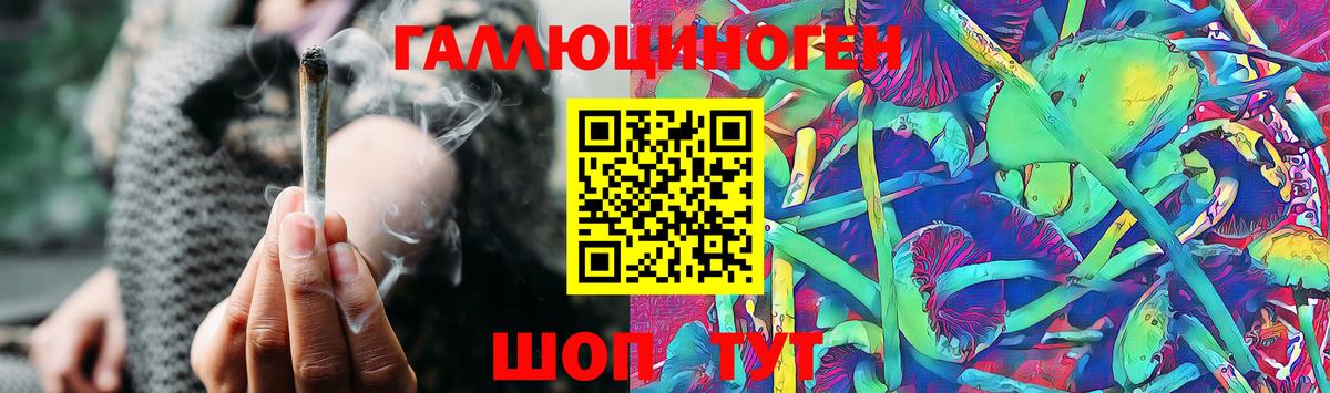 Галлюциногенные грибы Magic Shrooms Краснознаменск